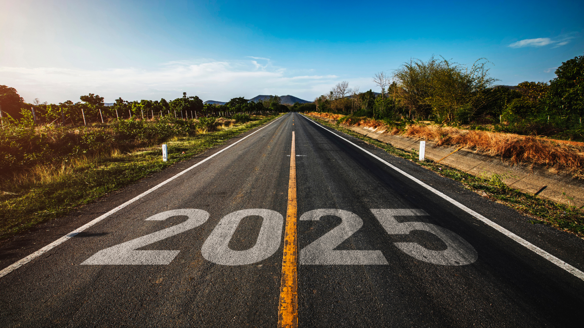 10 Essential IT Policies Every Organization Should Have in 2025